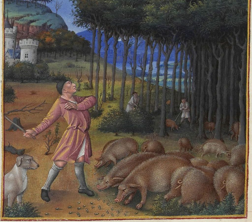 Die Novemberszene im Stundenbuch Très Riches Heures des Duc de Berry, der berühmtesten Buchmalerei des französischen Mittelalters, zeigt den Austrieb der Schweine in den Wald für die Versinnbildlichung des Herbstes.