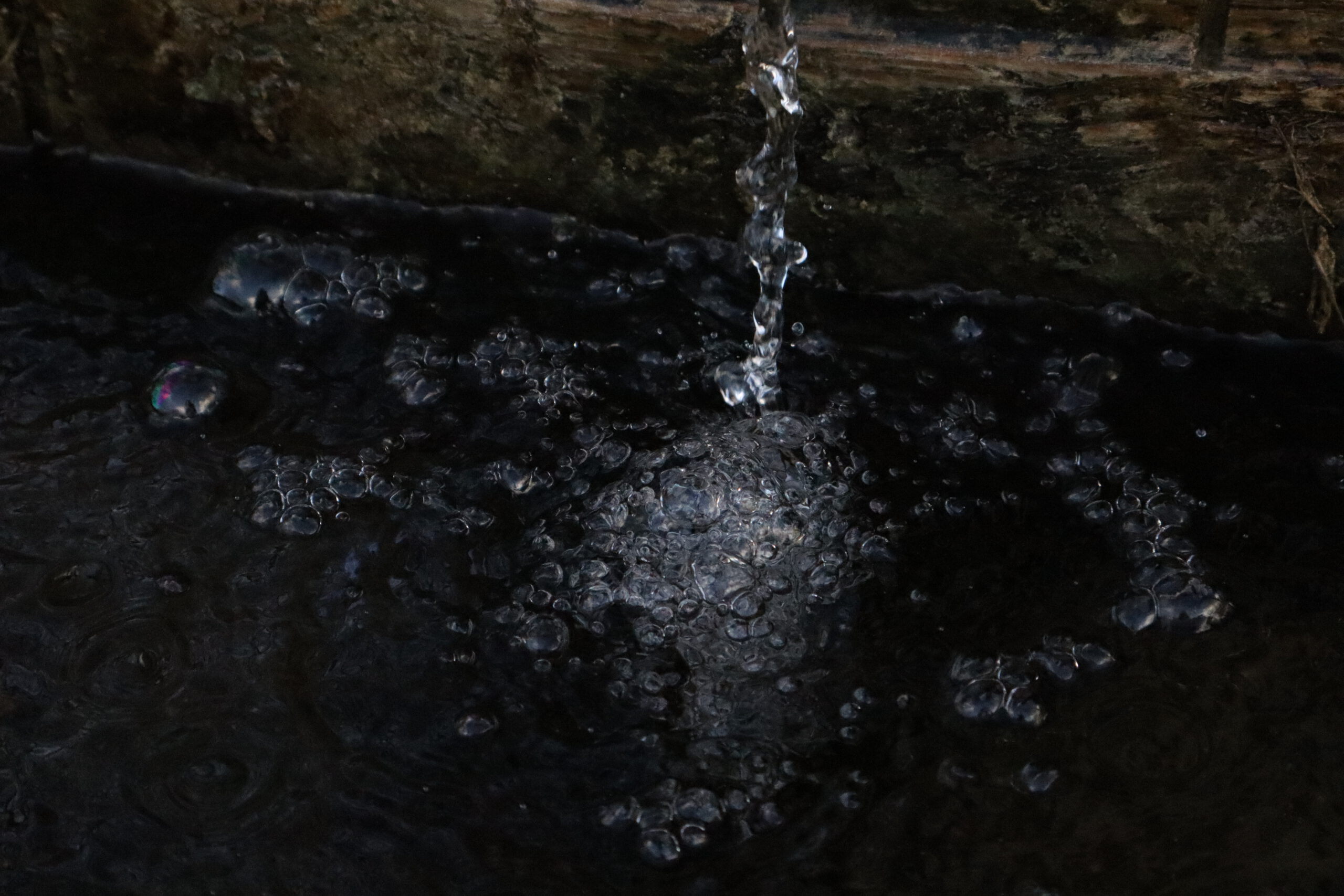 Wasserperlen